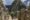 a person walking on The Inca Trail, Machu Picchu, Peru