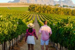 a couple walking through Vineyard in Franschhoek