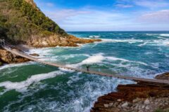 Suspension walking bridge at TsitsiKamma national park at the Garden Route - South Africa