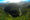 view of green wilderness on the garden route.