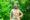 ivingstone-monument-Victoria-Falls-Zambezi-River-Zimbabwe-and-Zambia-