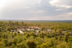 scenery from above the elephants - Hwange National Park featuring greenery, trees, water hole and elehpants in the distance
