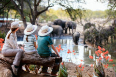 mum and children watch a heard of elephants at waterhole