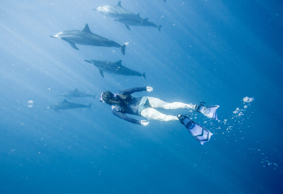 Woman model diver swimming with wild spinner dolphins