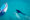 a person snorkeling with a whale shark near a boat