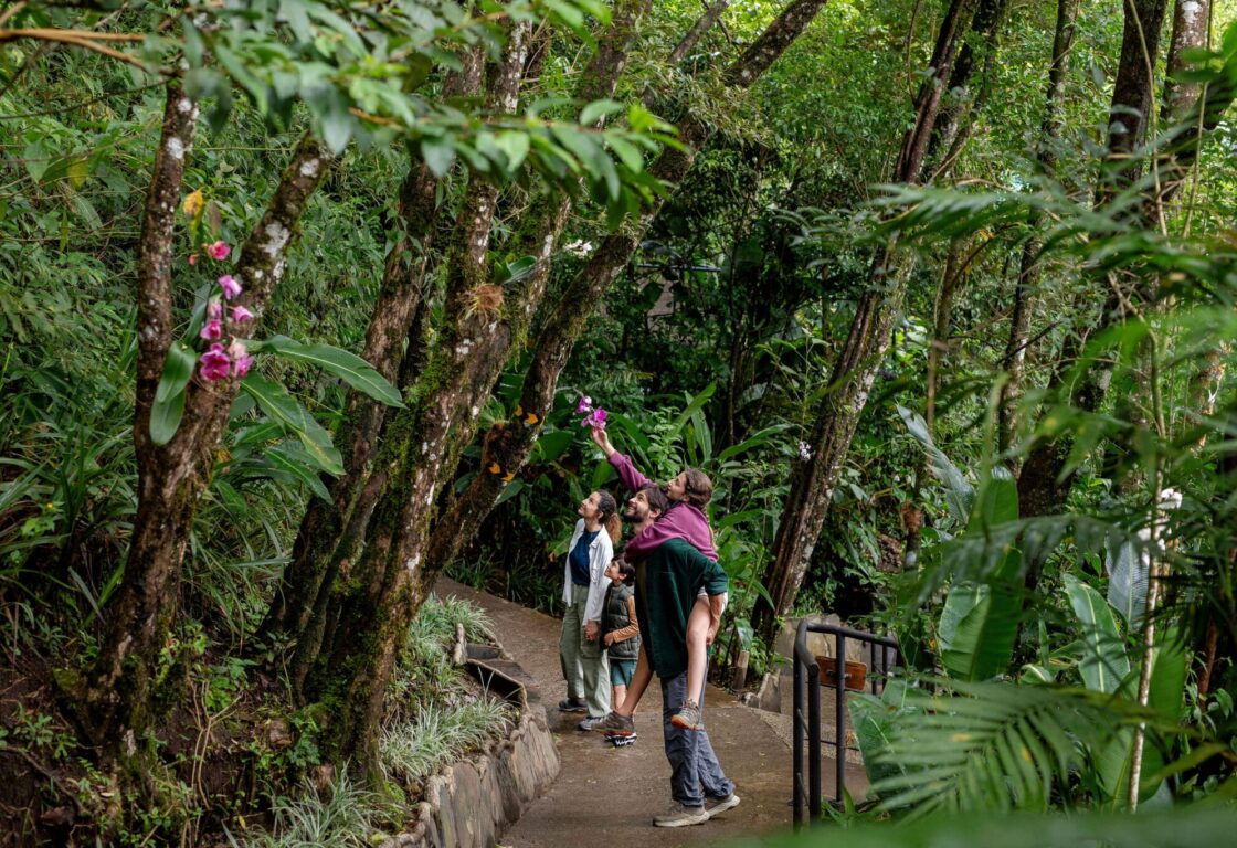 image of a family with a young boy and a the dad carrying a daughter walk through trails in the forest and the girl leans up to touch a pink flower growing off the trunk of a tree