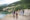 Happy multi generation family on hiking trip on summer holiday, walking.