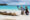 a couple kneeling and smiling on a beach in the Galapagos looking at seals lying in the sand