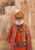 shutterstock_ IND Amber Fort – sikh
