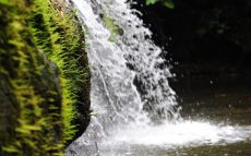 Borneo-Rainforest-Lodge-BOR-Natural-Jacuzzi-Pool-view-resized