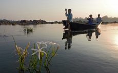 Boating-on-the-Ken-lilies-0005