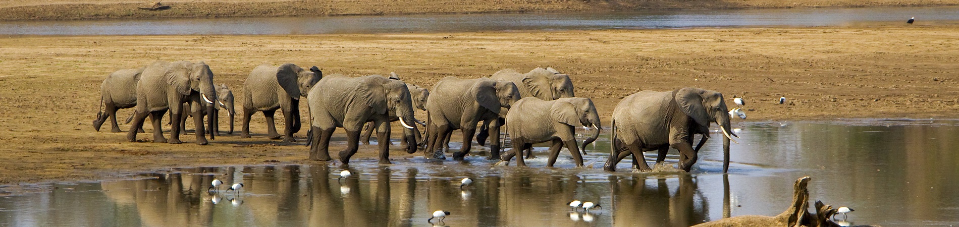Zambia Safaris & Holidays - Africa - Sundowner Holidays