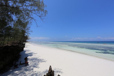 Unguja Beach, Zanzibar