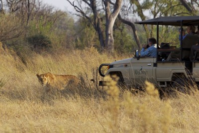 Thrilling game drives in the Moremi!