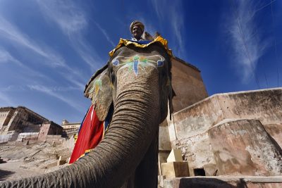 shutterstock - IND - Jaipur - Amer Fort ele2 (resize)