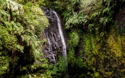 Waterfall at Amber Mountain National Park