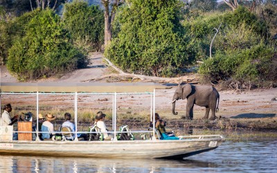 River safari, Chobe