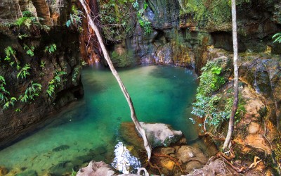 Cascade of the Nymphs