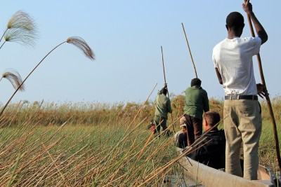 Mokoro (dugout canoe) safari