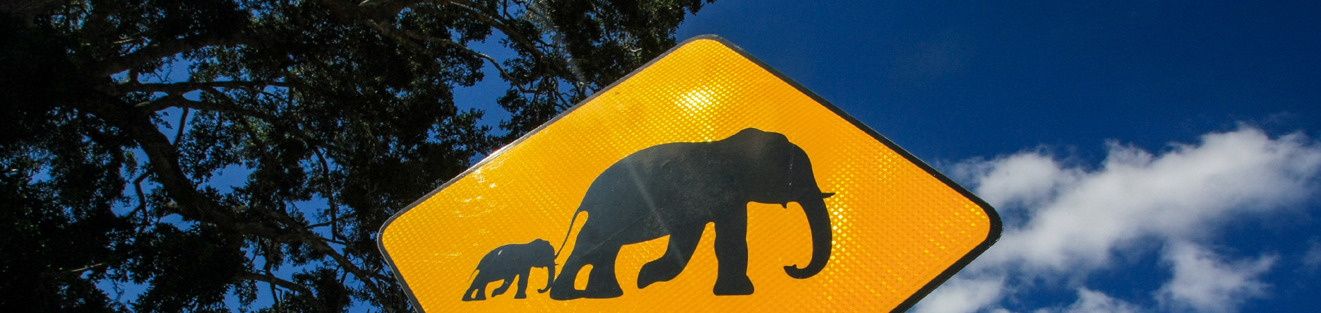 shutterstock – SRI – elephant sign header