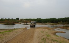 A Jeep safaris at Chanoud Garh