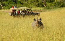 Exciting game drives at Enkewa Mara