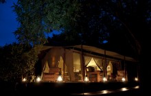 A bushcamp under the stars!