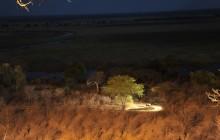 A visitor to the floodlit waterhole at Muchenje!