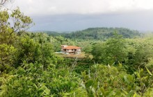 The stunning plantation setting at Niyagama House