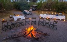 A fantastic bush dinner with Machaba