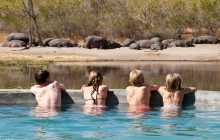 The pool with a view at Machaba Camp!