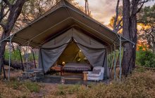 The chic 1950s style safari tents at Machaba Camp