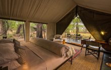 The tent interiors at Machaba Camp