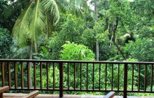 Balcony view, Jim's Farm Villas